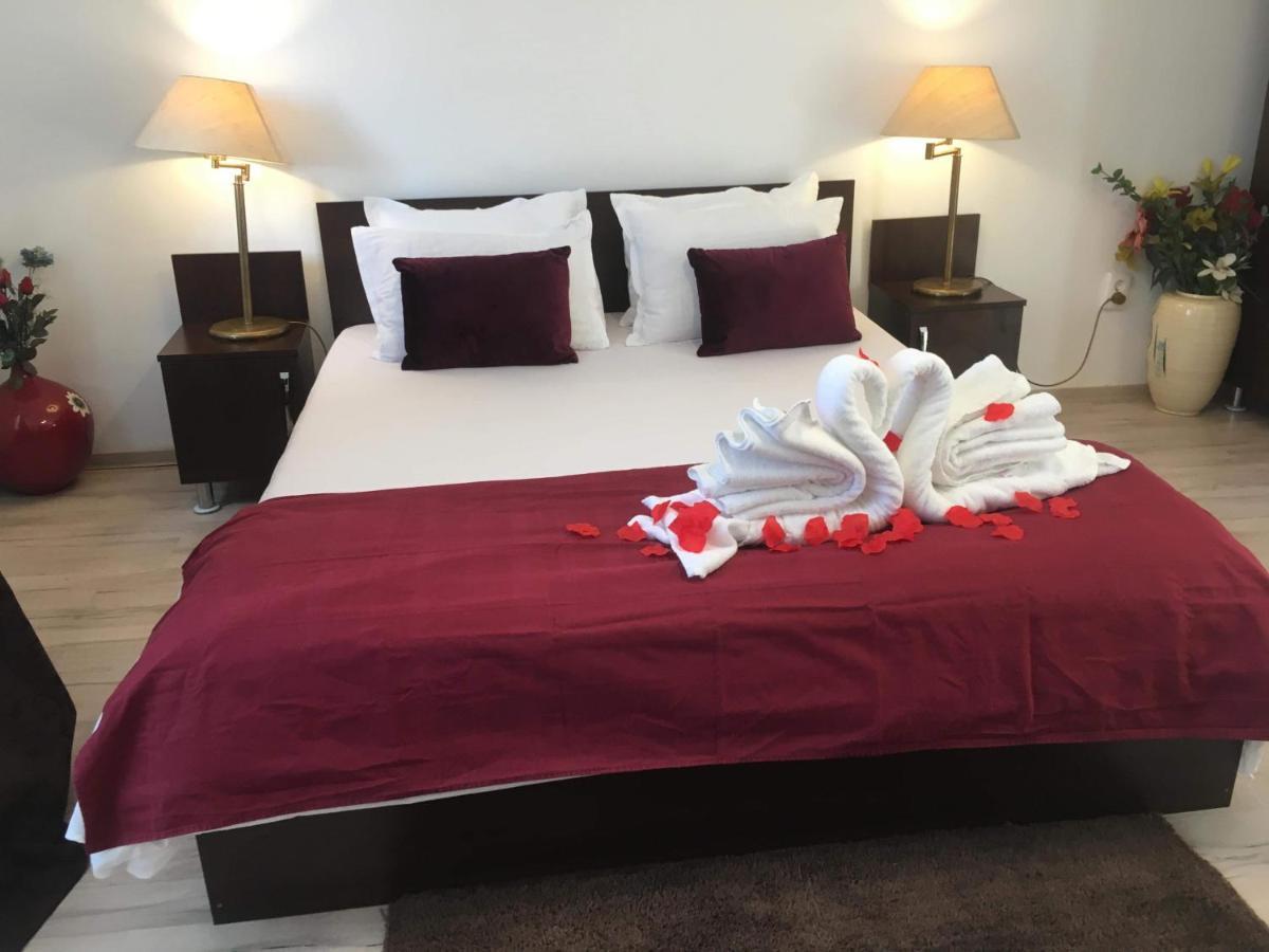 Casa Lions Hotel Timisoara Bagian luar foto