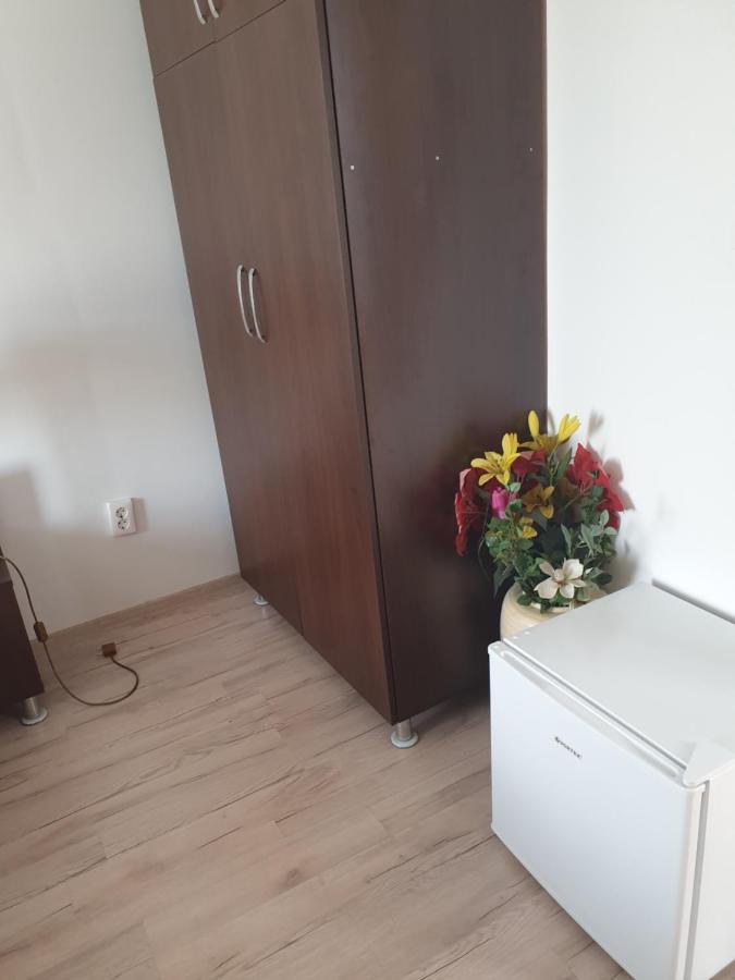 Casa Lions Hotel Timisoara Bagian luar foto