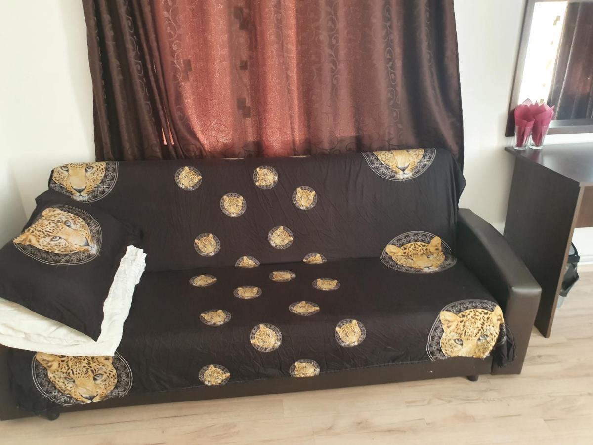 Casa Lions Hotel Timisoara Bagian luar foto