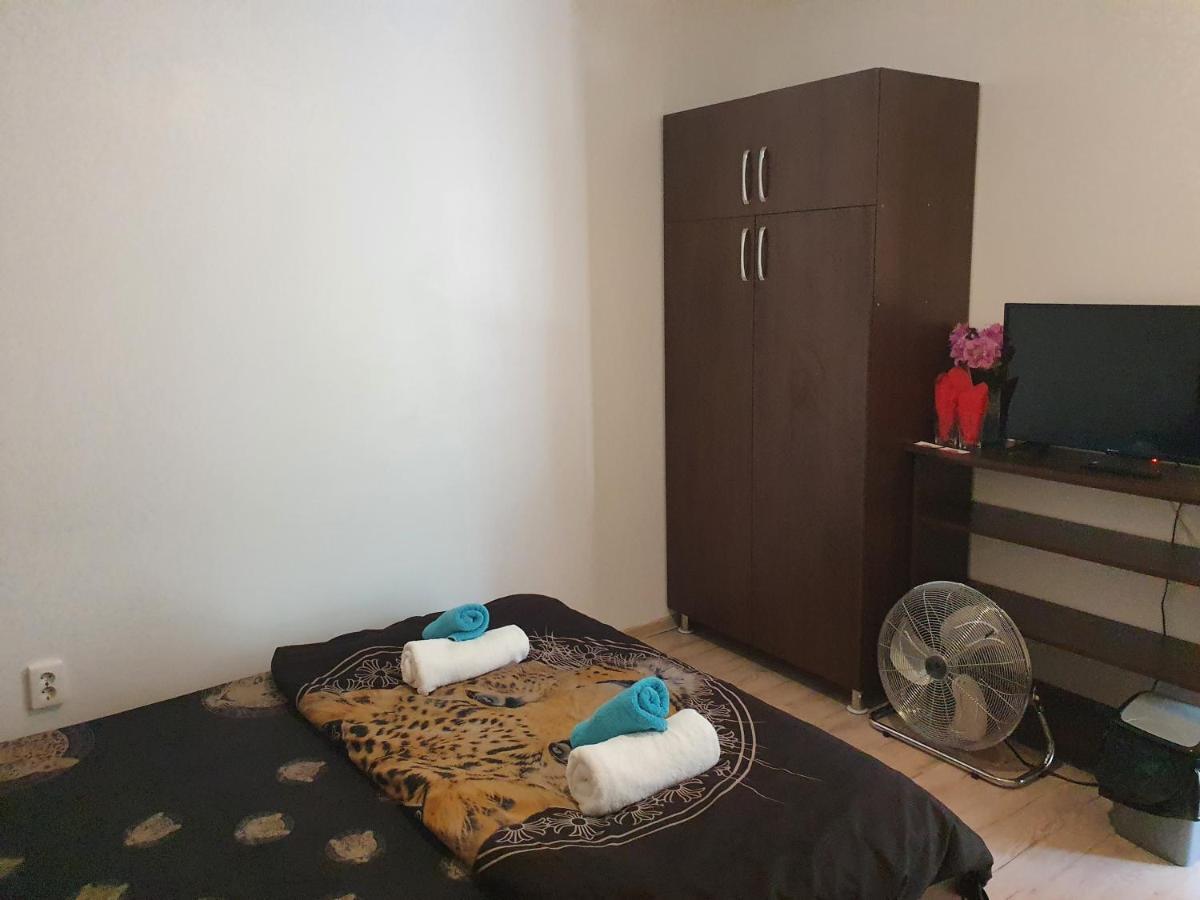 Casa Lions Hotel Timisoara Bagian luar foto