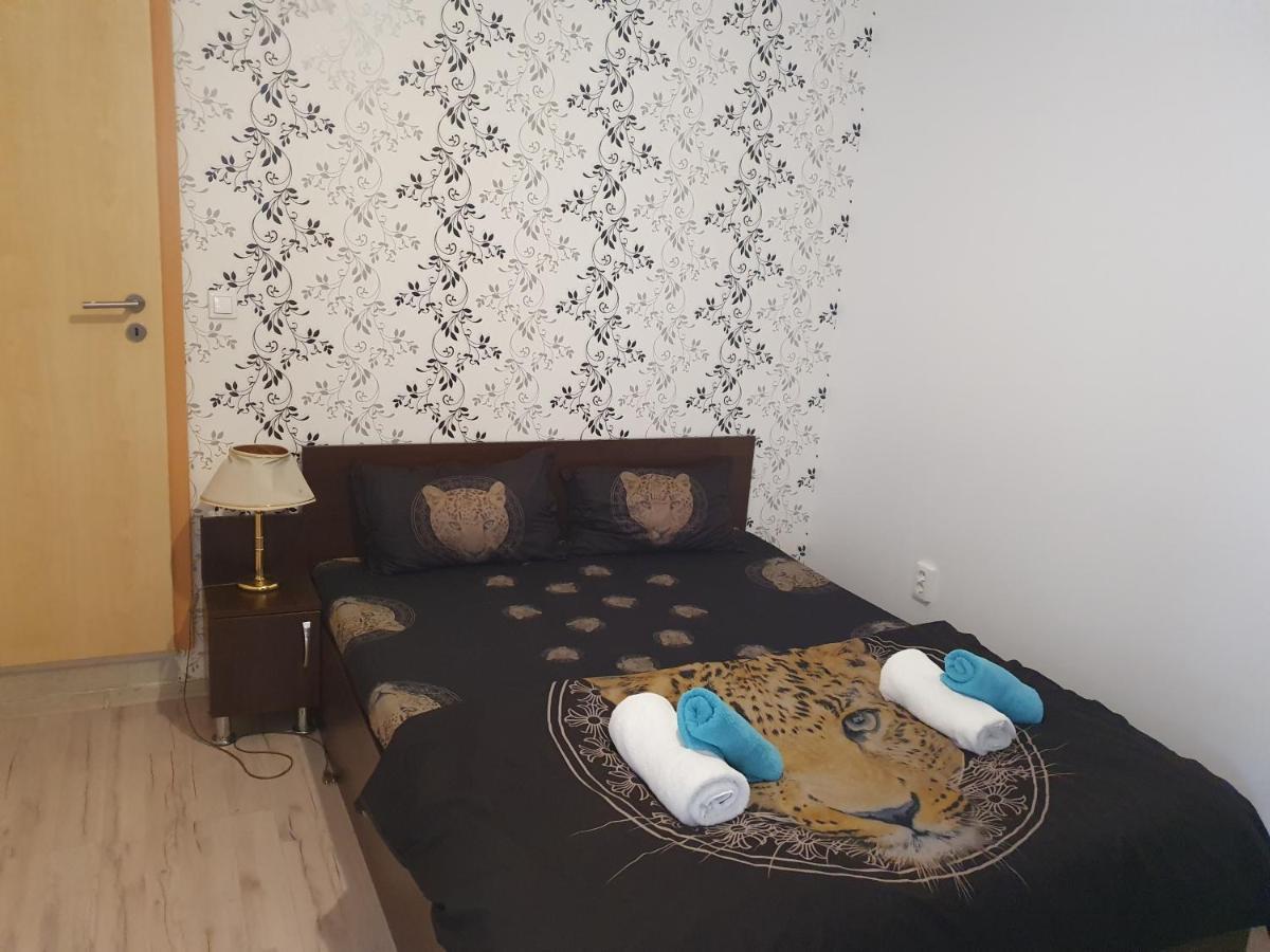 Casa Lions Hotel Timisoara Bagian luar foto