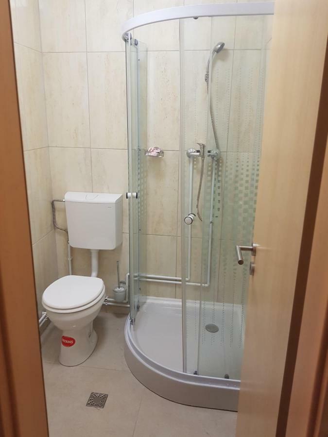 Casa Lions Hotel Timisoara Bagian luar foto