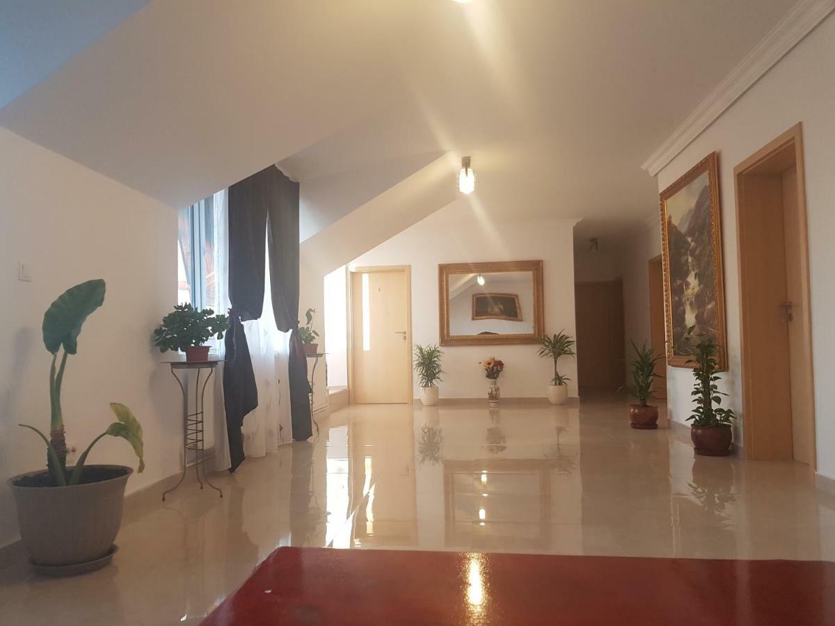 Casa Lions Hotel Timisoara Bagian luar foto