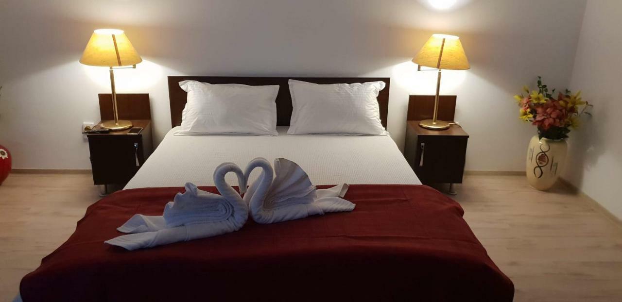 Casa Lions Hotel Timisoara Bagian luar foto
