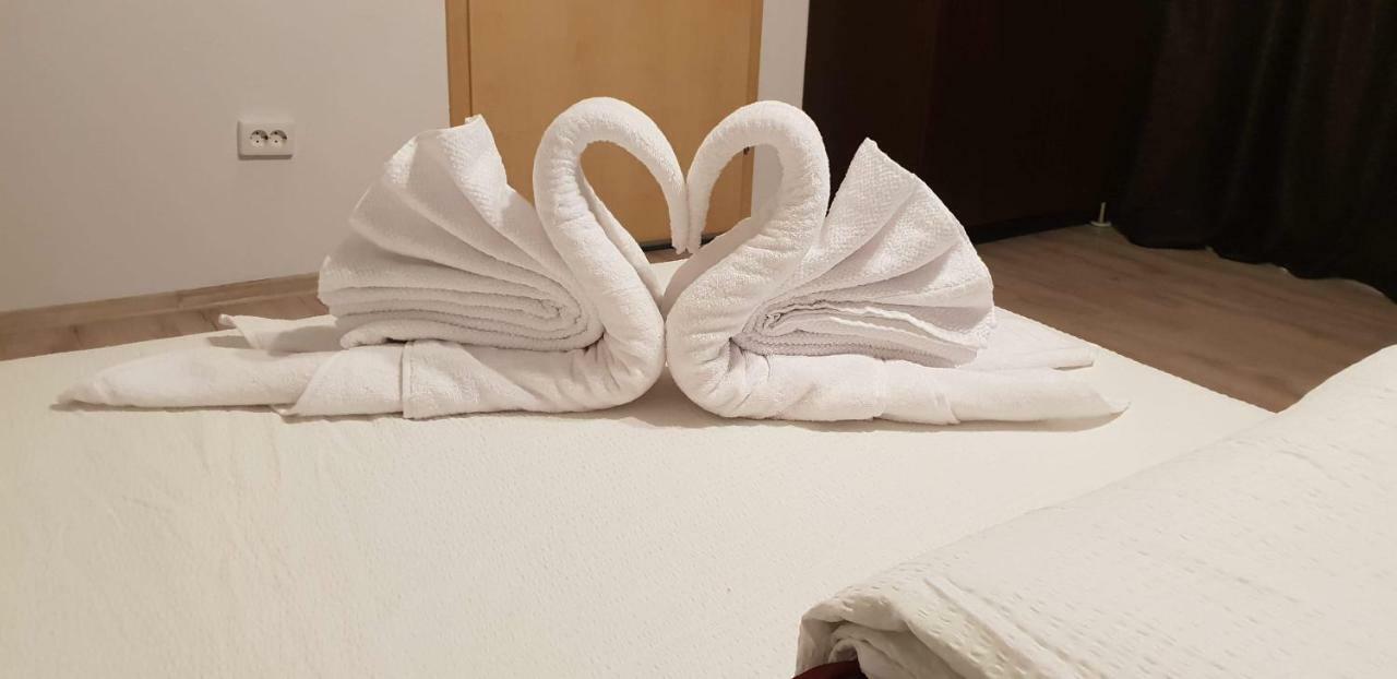 Casa Lions Hotel Timisoara Bagian luar foto