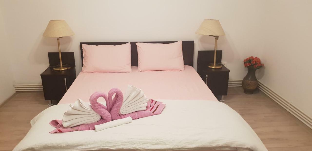 Casa Lions Hotel Timisoara Bagian luar foto