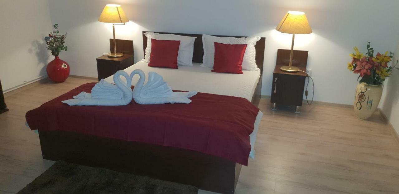 Casa Lions Hotel Timisoara Bagian luar foto