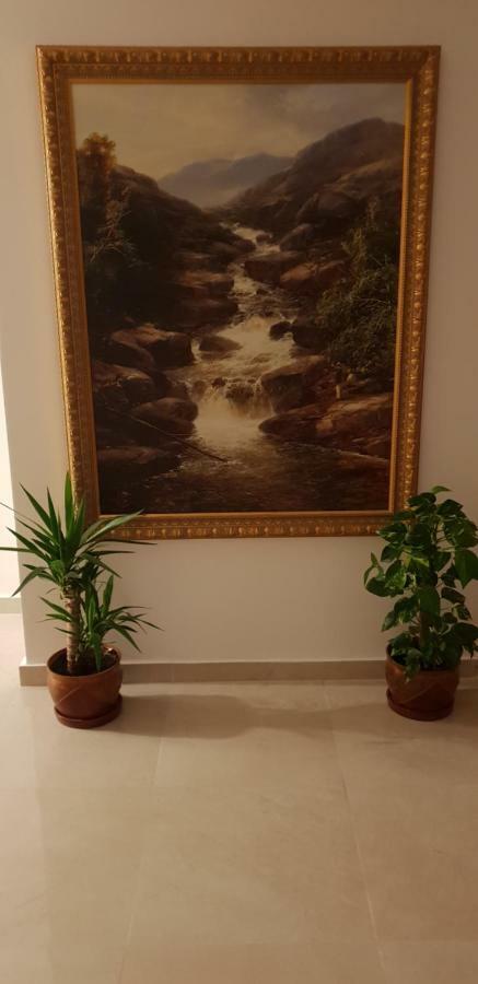 Casa Lions Hotel Timisoara Bagian luar foto