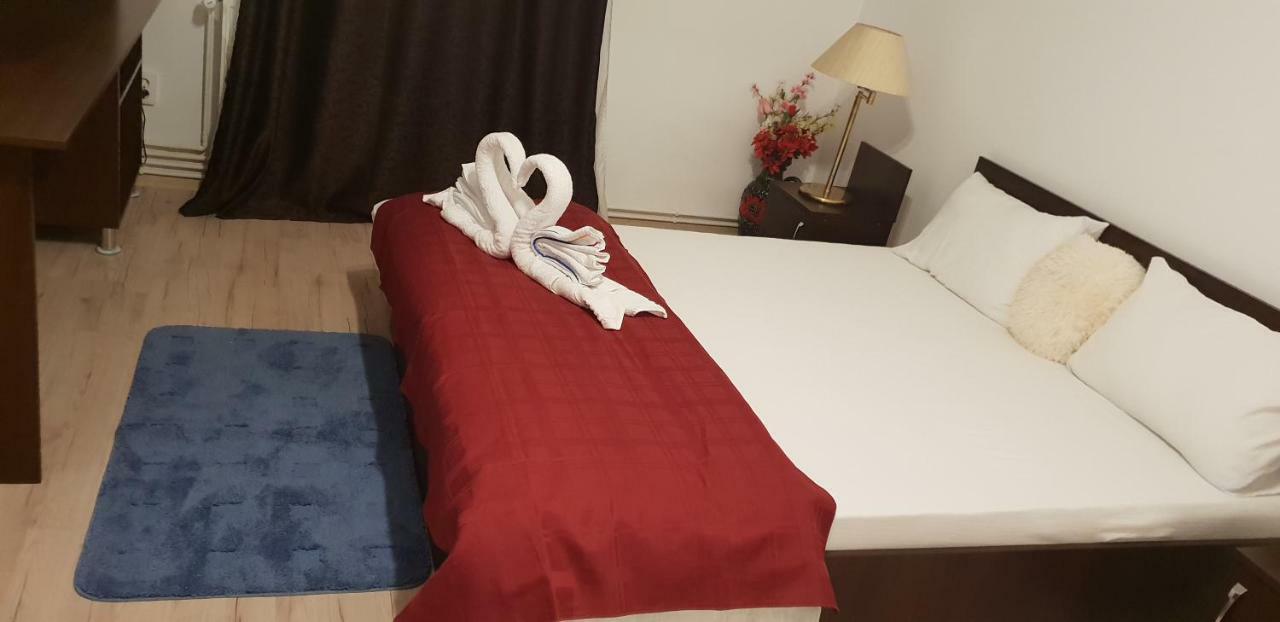 Casa Lions Hotel Timisoara Bagian luar foto
