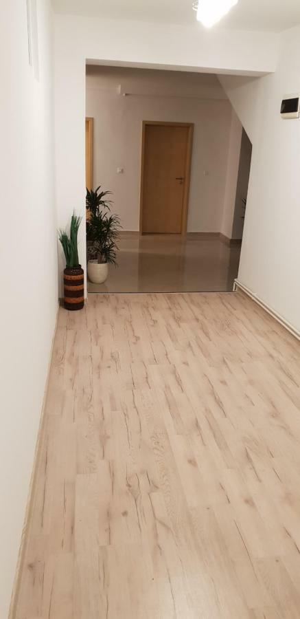 Casa Lions Hotel Timisoara Bagian luar foto