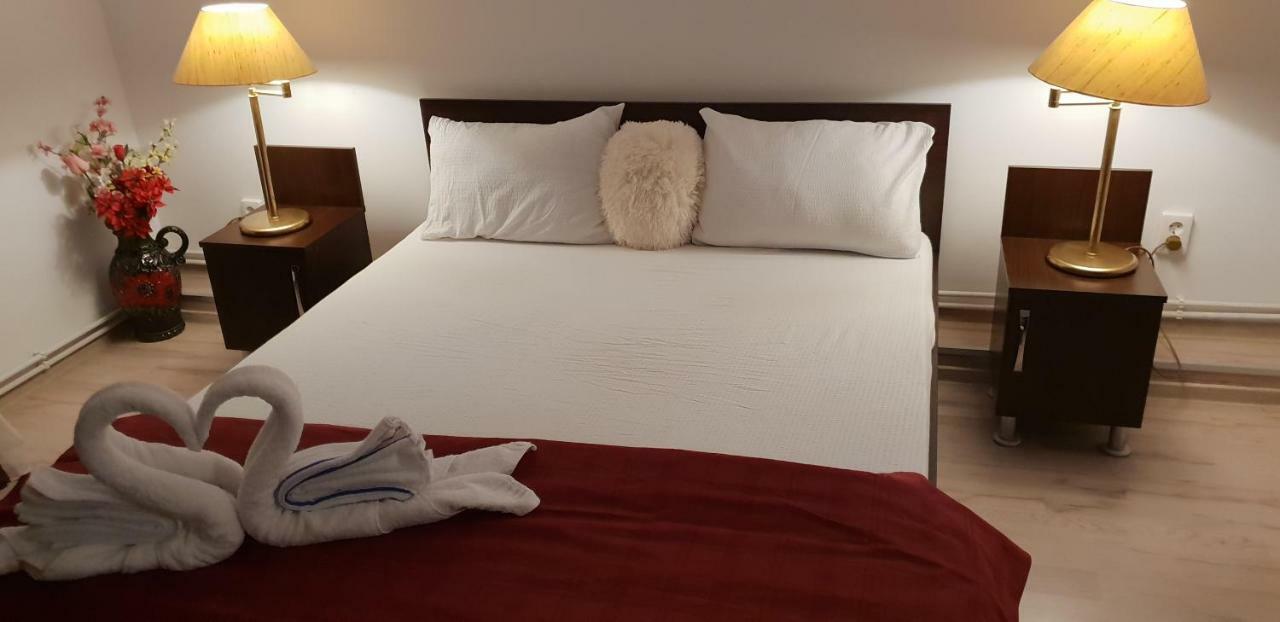 Casa Lions Hotel Timisoara Bagian luar foto