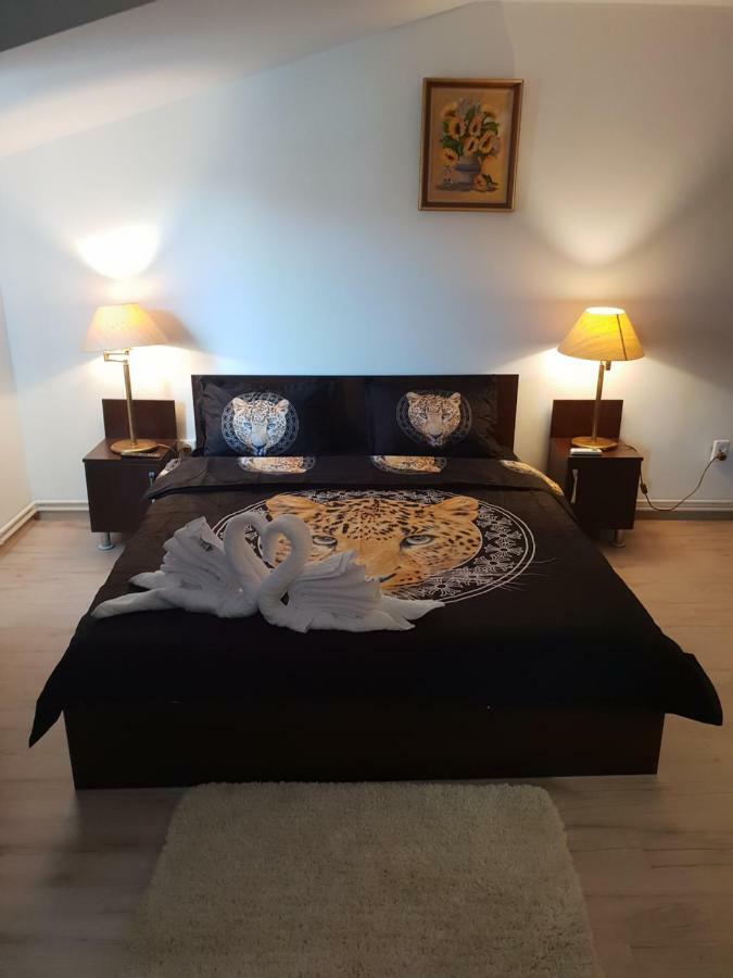 Casa Lions Hotel Timisoara Bagian luar foto