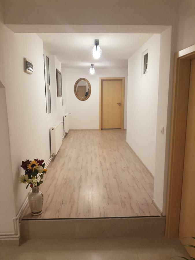 Casa Lions Hotel Timisoara Bagian luar foto